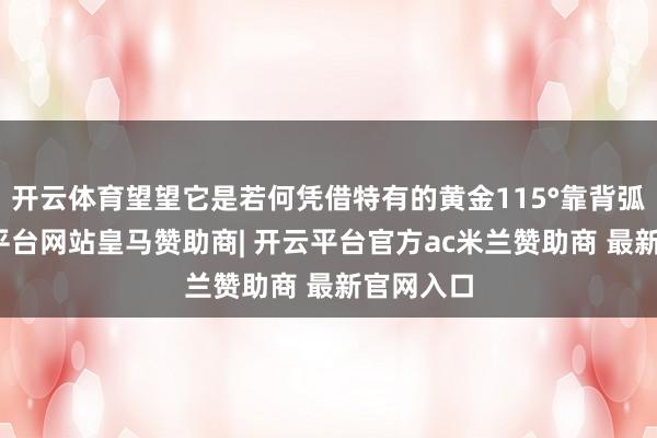 开云体育望望它是若何凭借特有的黄金115°靠背弧度-开云平台网站皇马赞助商| 开云平台官方ac米兰赞助商 最新官网入口