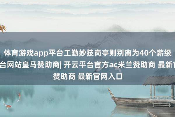 体育游戏app平台工勤妙技岗亭则别离为40个薪级-开云平台网站皇马赞助商| 开云平台官方ac米兰赞助商 最新官网入口