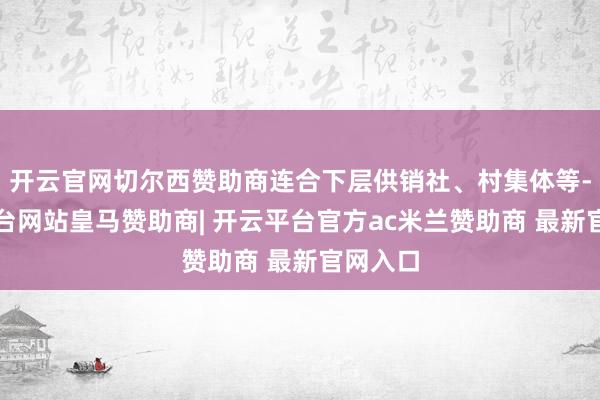 开云官网切尔西赞助商连合下层供销社、村集体等-开云平台网站皇马赞助商| 开云平台官方ac米兰赞助商 最新官网入口