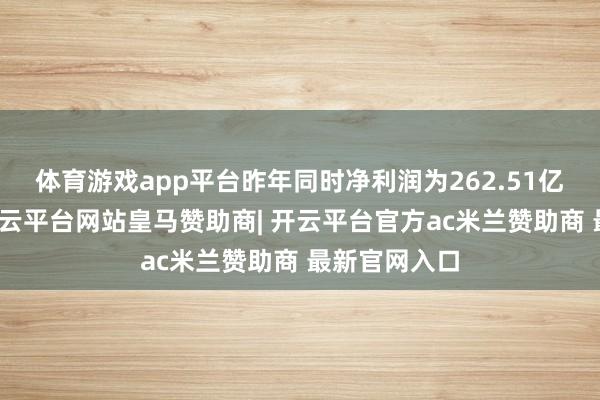 体育游戏app平台昨年同时净利润为262.51亿好意思元-开云平台网站皇马赞助商| 开云平台官方ac米兰赞助商 最新官网入口