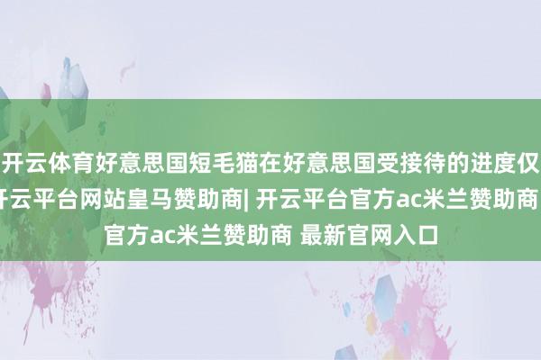 开云体育好意思国短毛猫在好意思国受接待的进度仅排行第八位-开云平台网站皇马赞助商| 开云平台官方ac米兰赞助商 最新官网入口