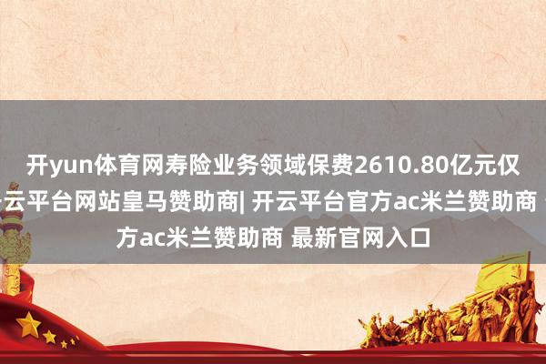 开yun体育网寿险业务领域保费2610.80亿元仅增长3.3%-开云平台网站皇马赞助商| 开云平台官方ac米兰赞助商 最新官网入口